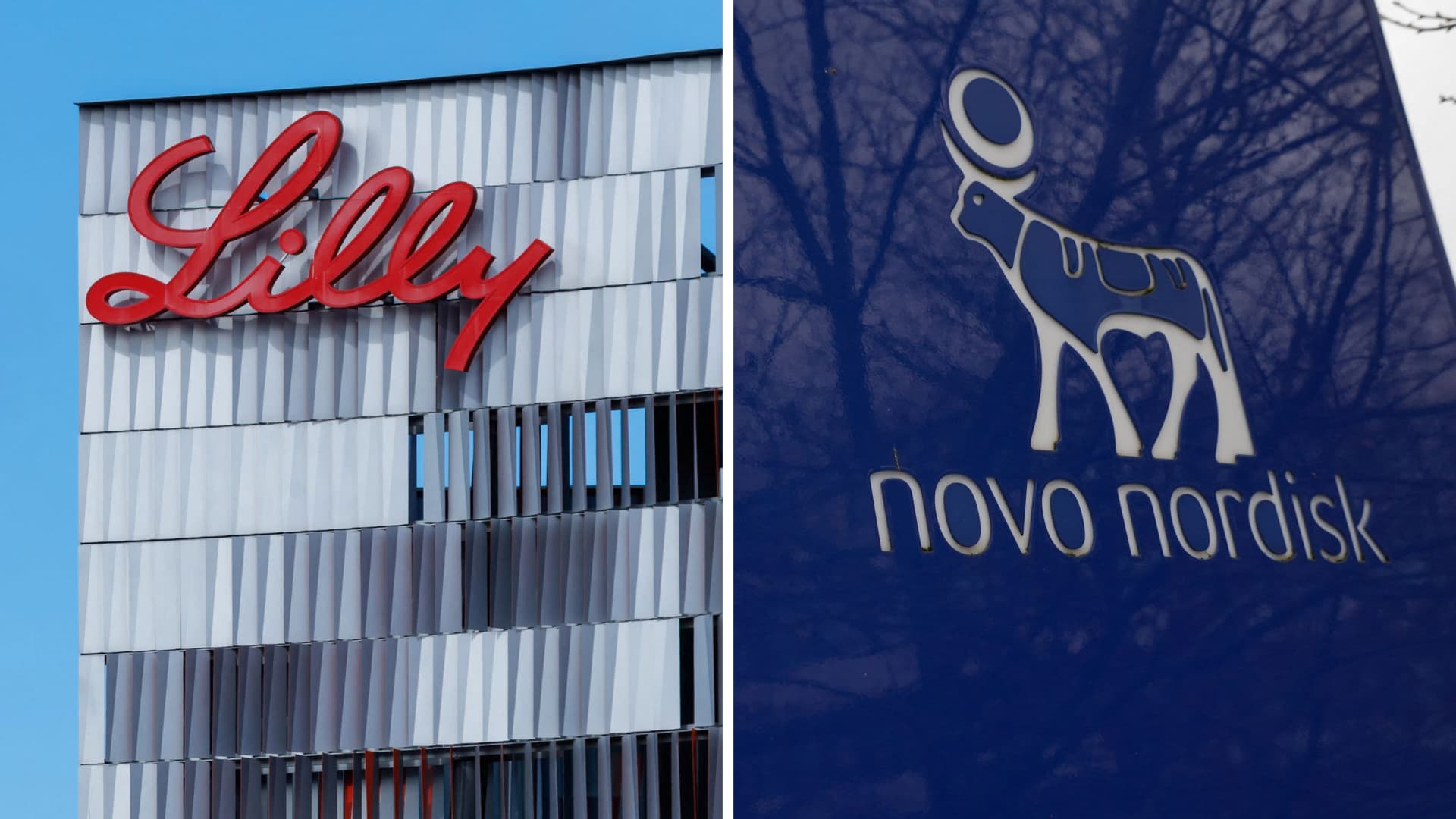 Novo Nordisk Faces Eli Lilly Challenge in Obesity Drug Market