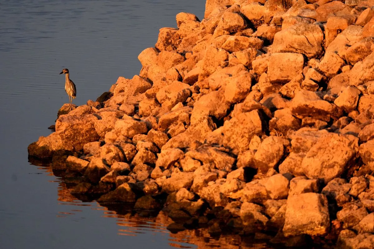 Oklahoma City Initiates Emergency Canton Lake Water Transfer