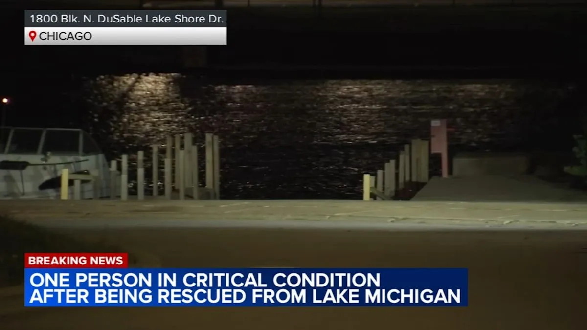 Chicago Water Rescue Leaves One Critical Near Lake Shore Drive