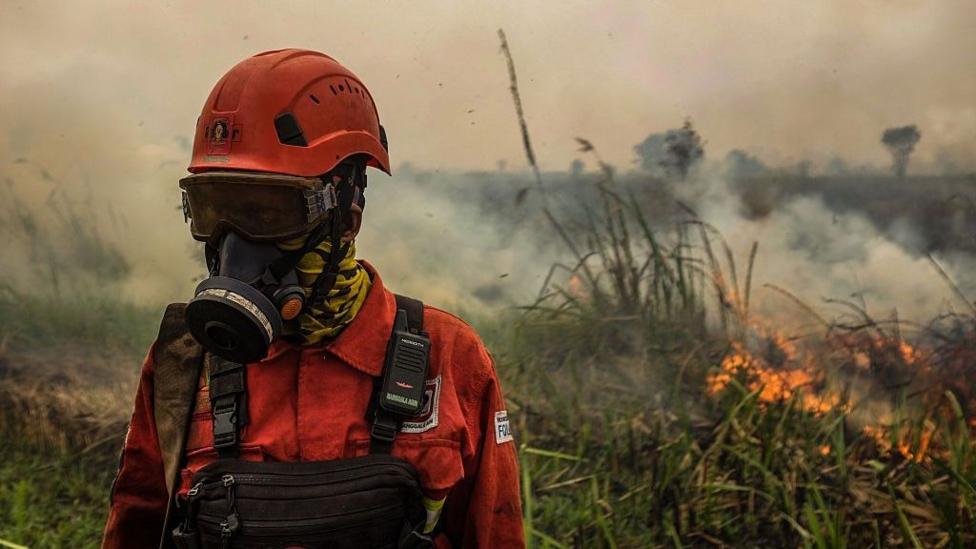 Southeast Asia Wildfire Smog Surges Amid Severe El Nino
