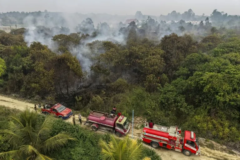 Inferno Across Indonesian Borneo Outpaces Exhausted Crews