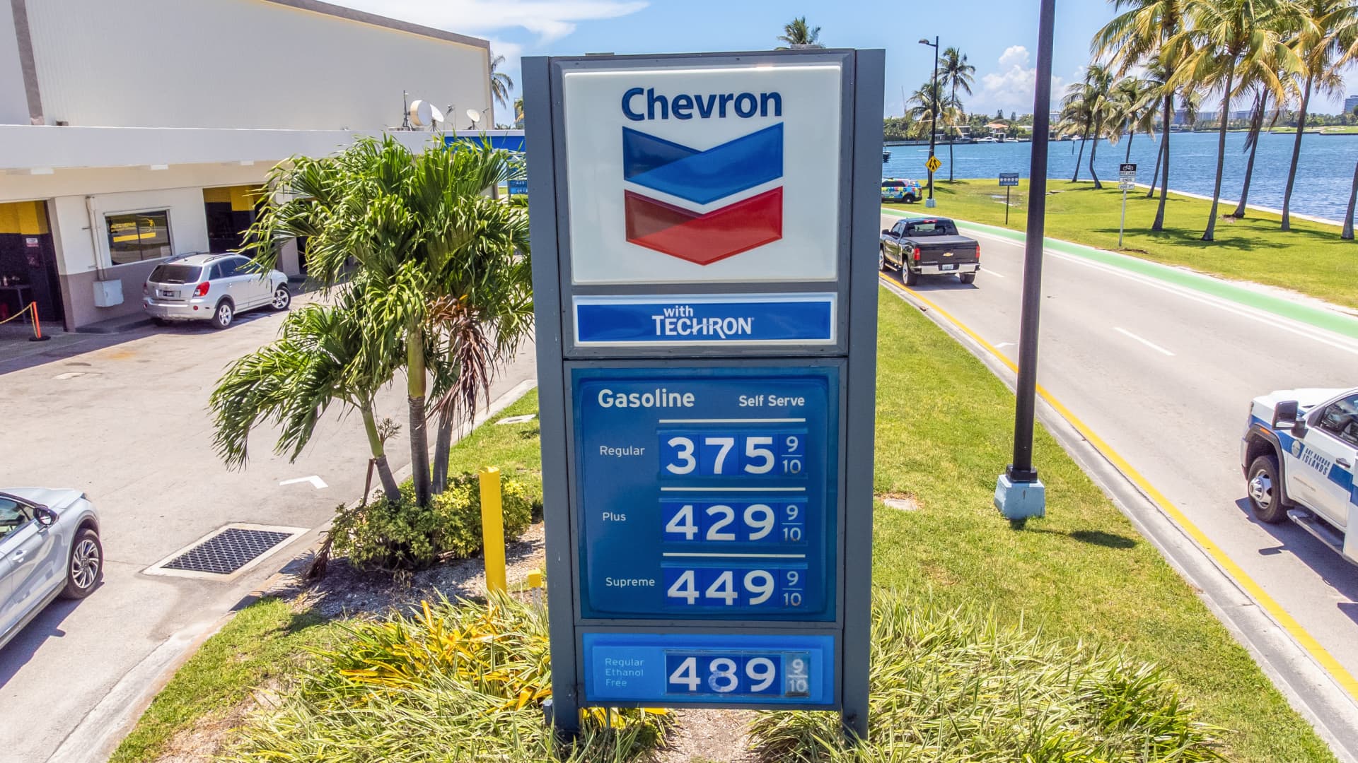 Wall Street Analysts Pick 3 Dividend Stocks for Reliable Income