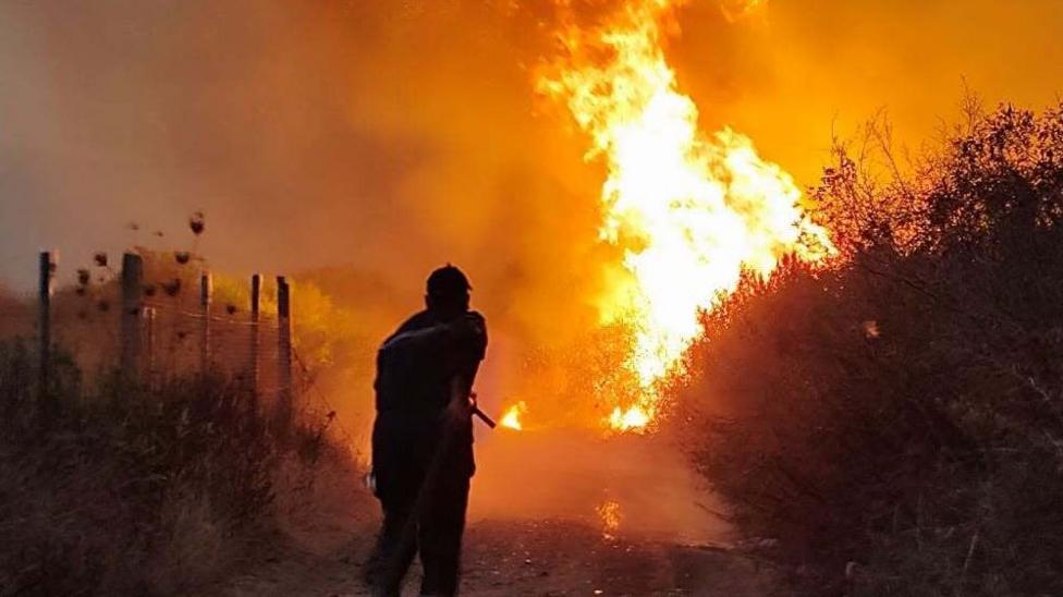 Algeria Enacts Death Penalty for Arsonists After Deadly Wildfires