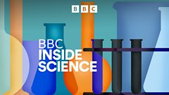 CERN Large Hadron Collider Upgrade: What Comes Next