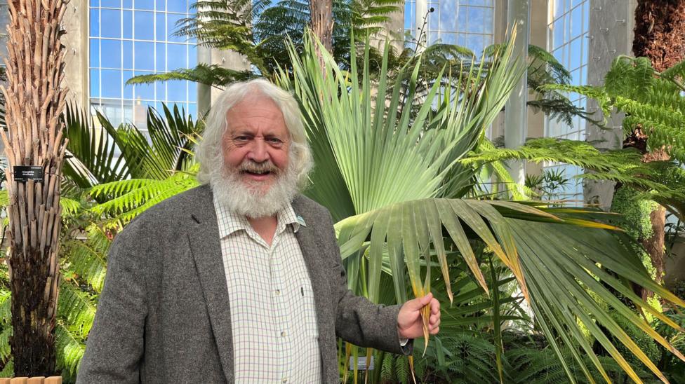 Edinburgh Palm House Reopens After Six-Year Restoration
