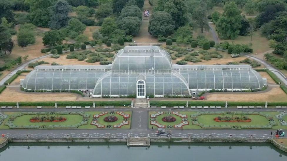 Kew Gardens Palm House Makeover: 1,300 Plants Relocated